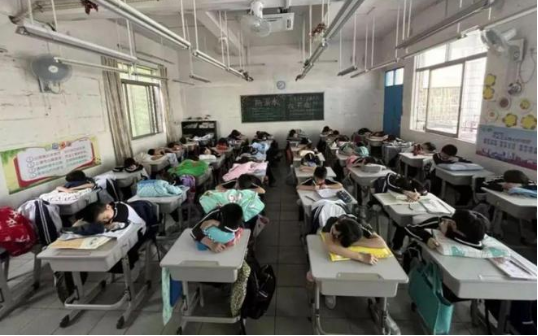 快樂(lè)學(xué)習(xí)，健康午休 | 博士有成午休課桌椅走進(jìn)莞城中心小學(xué)(圖12)